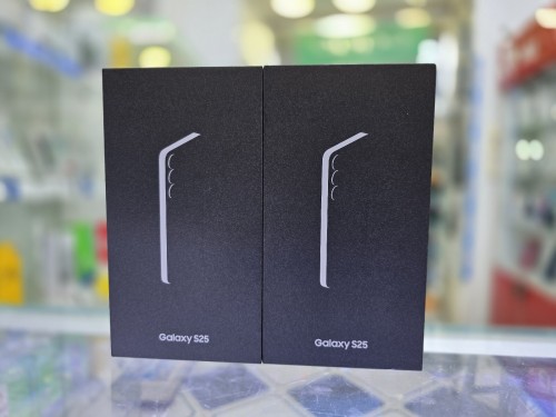 Samsung Galaxy S25