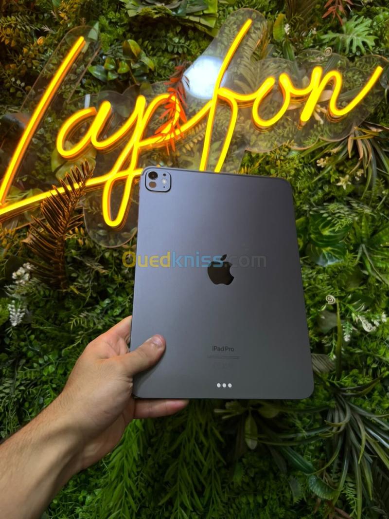 APPLE IPAD PRO M4 11 256GB WIFI 100% CYCLE 35